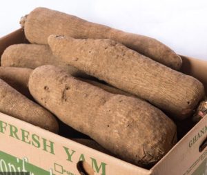 Fresh Yam #3