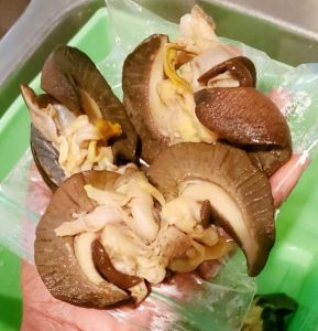 African Snail Meat